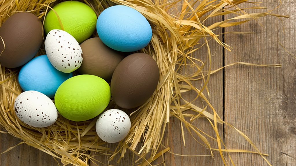 Eggs Nest HD Wallpaper