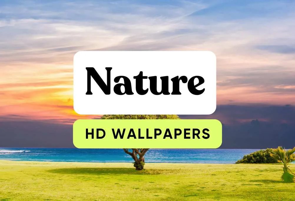 Nature hd wallpapers page banner image