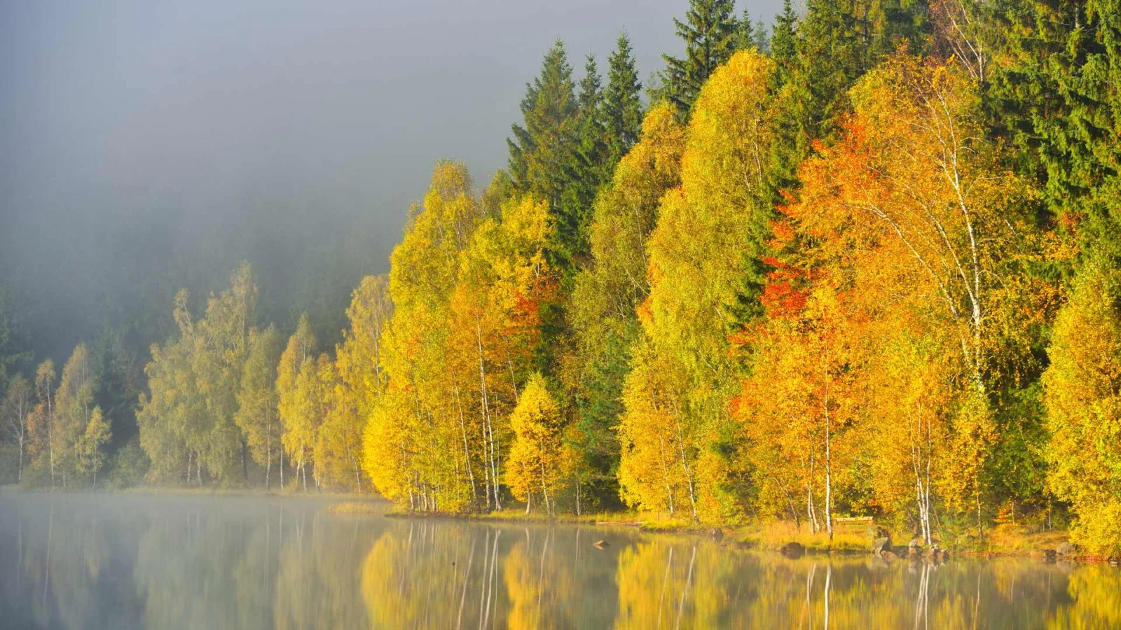 Colourful trees on the banks of the lake Nature Wallpaper