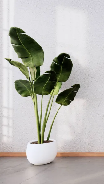 a green plant in a white pot wallpaper