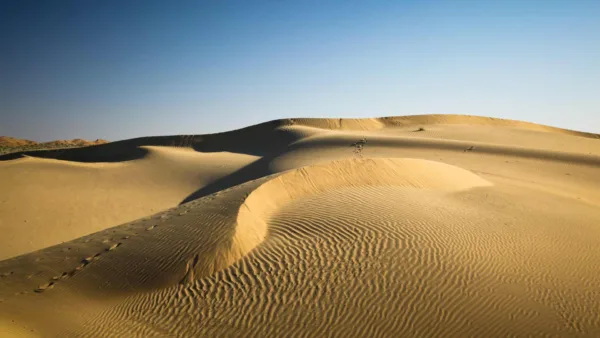 Thar Desert, Rajasthan India