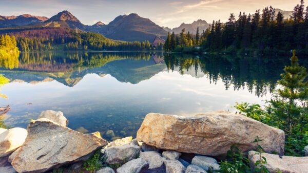 Beautiful Natural Background