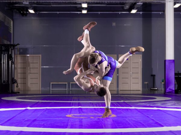 Gaming Wallpapers 8 Professional Wrestling Game Wallpaper