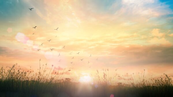 Sunrise Background Photo