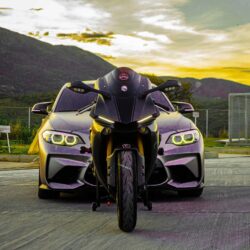 car bike wallpapers Bird Wallpapers