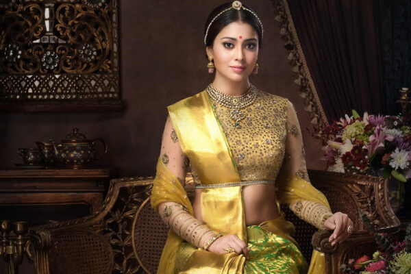 Shriya Saran Bollywood Actress Hd Wallpaper