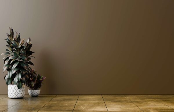 Simple Attractive Wallpaper